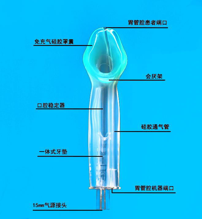 健琪 一次性医用喉罩（免充气式双腔型） 2