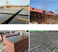 Formwork Plywood 3