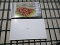 Coated Leaf Collection Bin 4