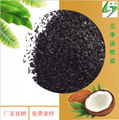 coconut shell activated carbon 2