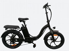 Electric folding bike