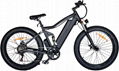 26'' electric bike step through