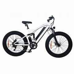 26'' electric mountain bike 500W power assist