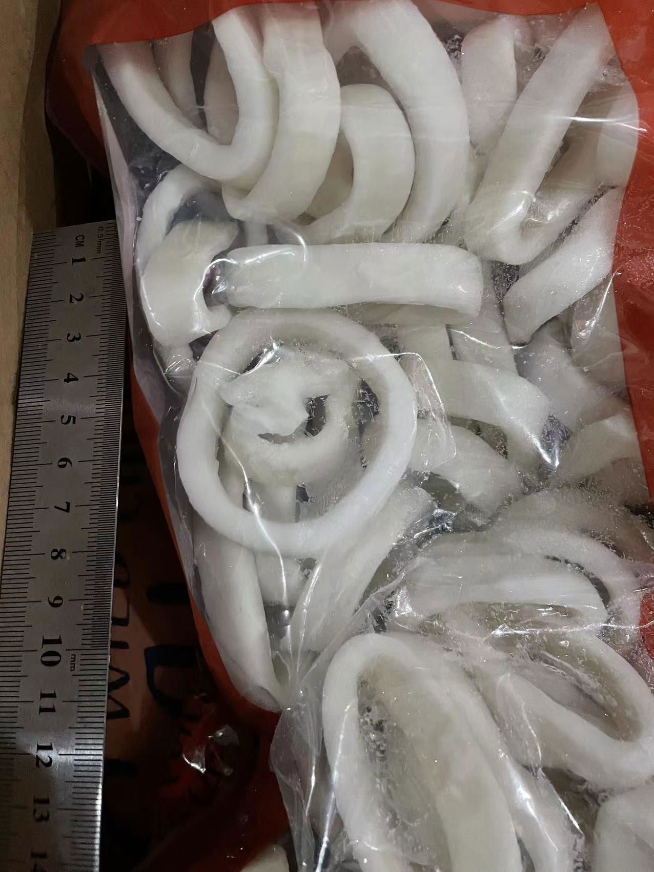 good price quality frozen peru giant squid 3