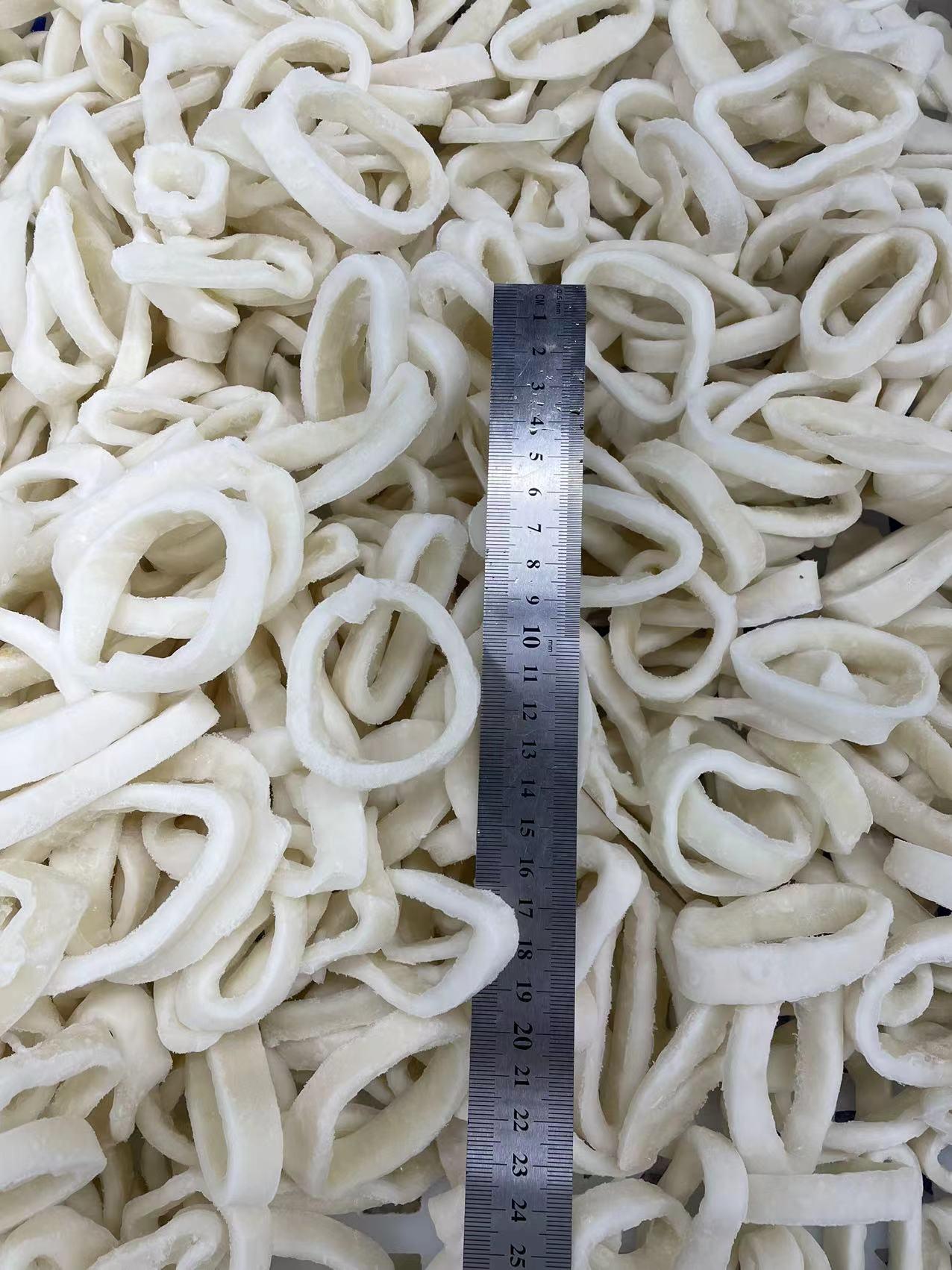 冷冻鱿鱼筒鱿鱼圈 4