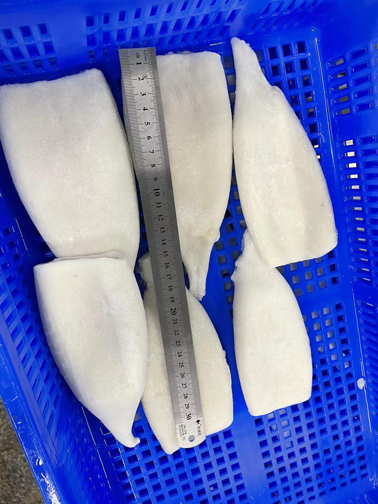 冷冻鱿鱼筒鱿鱼圈 5