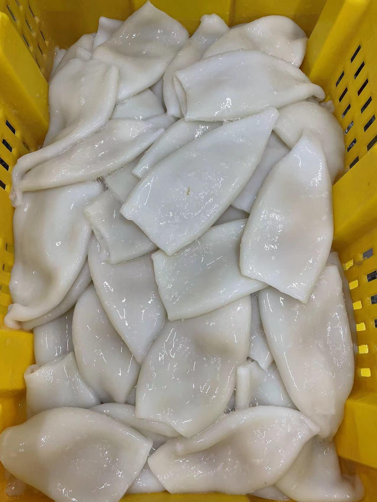 Frozen Squid Tube Frozen Loligo Squid Frozen Squid Product