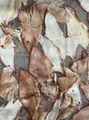 Dried squid slice wholesale dried illex