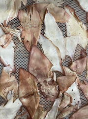 Dried squid slice wholesale dried illex loligo from China 