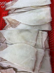 魷魚原料魷魚加工魷魚片