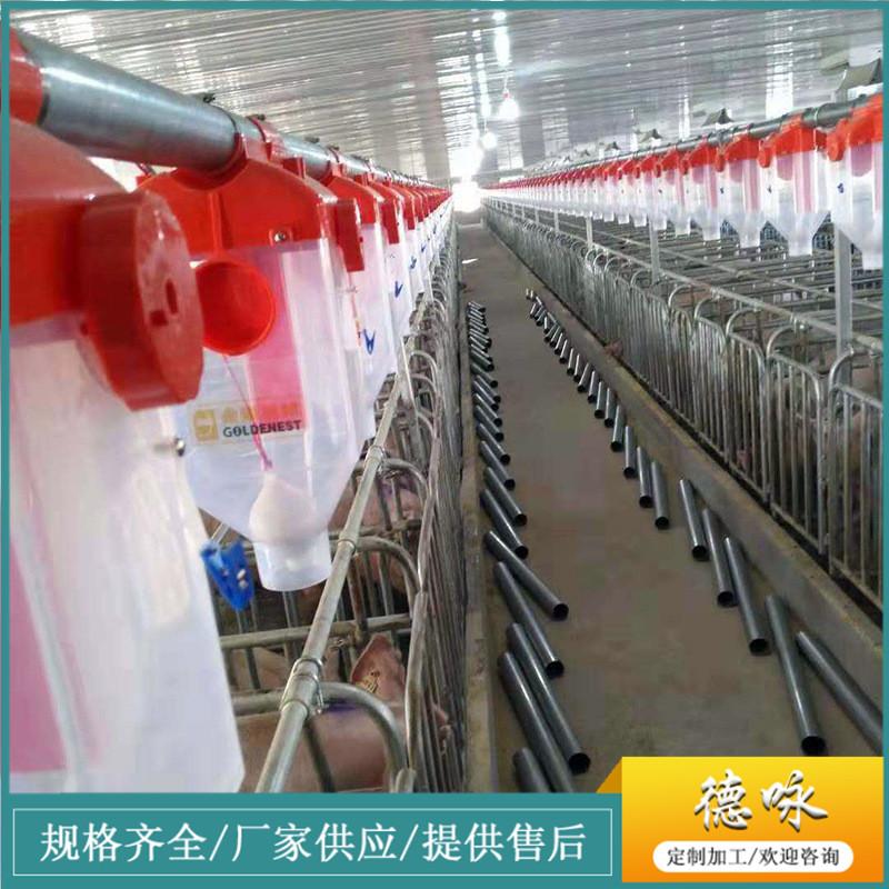 豬場自動料線 自動化料線 豬舍料線 全自動養殖設備育肥料線 3