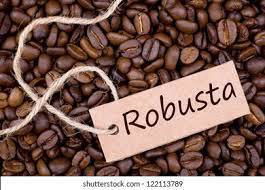 Robusta Coffee Beans