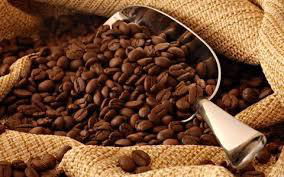 Robusta Coffee Beans 2