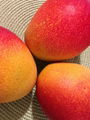 Sindhri Mangoes 2