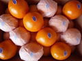 Valencia Oranges 1