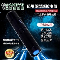重慶SW2120微型防爆便攜式手電筒