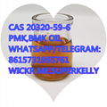 China factory price Pmk Powder /BMK Powder cas 28578-16-7 1