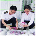 China custom clearance agent in Shenzhen 3