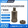 ICP/IEPE Piezoelectric Accelerometer Vibration Sensor Transducer 4