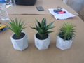 Potted artificial plants pre-shipment final inspection services 1