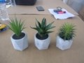Potted artificial plants pre-shipment final inspection services