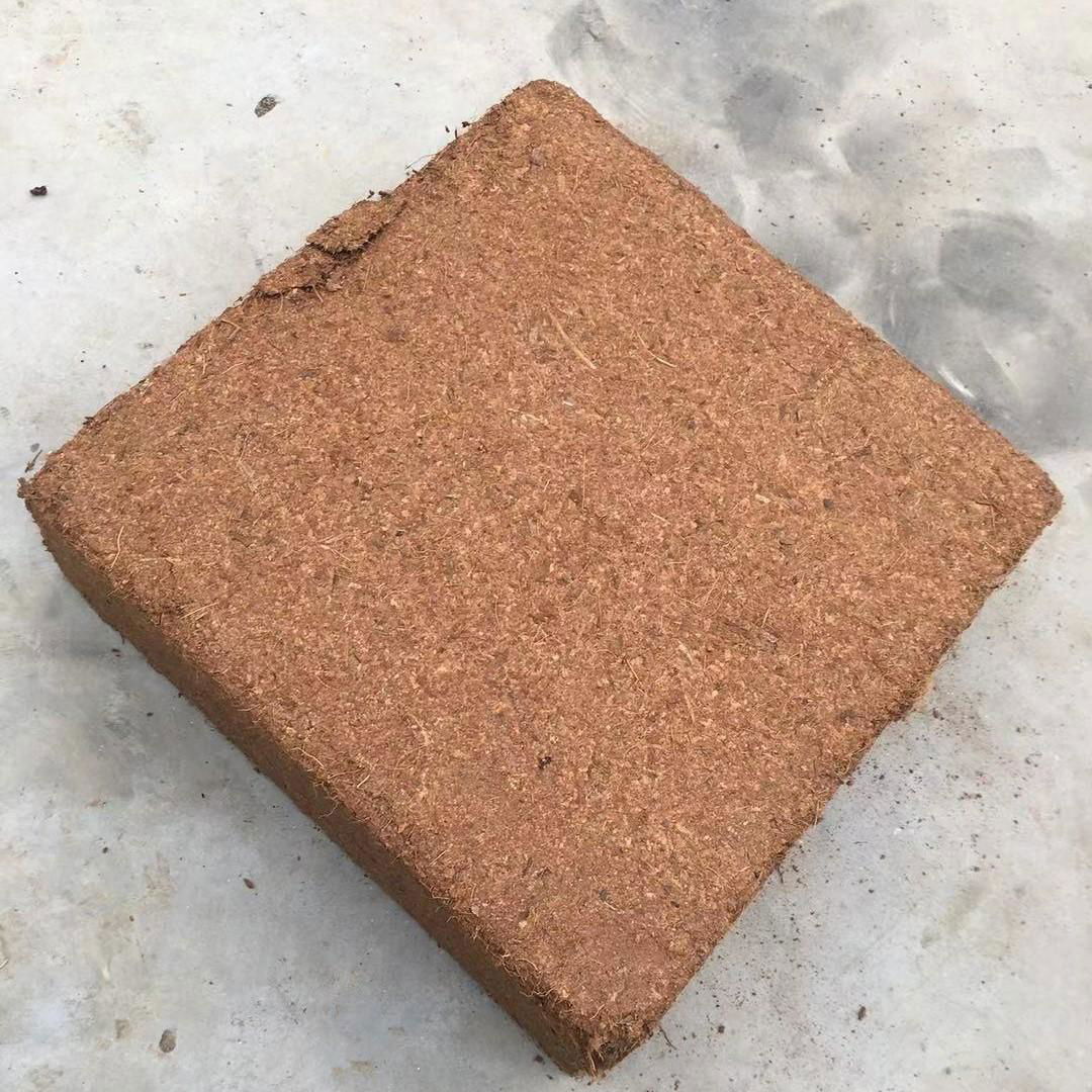 Cheap Price Coco Coir Block Coconut Peat Block Coco Coir Brick 5kg