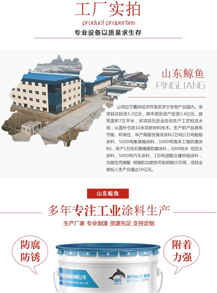 环氧富锌底漆30%--70%锌含量钢结构专用重防腐漆 4