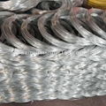 Electro Galvanized Coil Wire 1