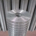 Galvanized Welded Wire Mesh