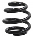 Water Pump Spring  4