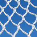 Hoticulture high tensile strength anti bird net Agricultural 3