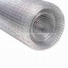 Galvanized Weled Wire Mesh