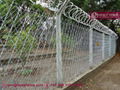 Welded Razor Mesh Fence 5