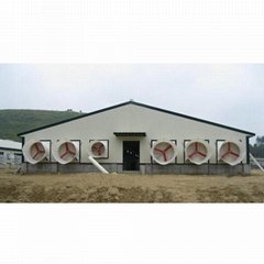 Prefabricated steel structure poultry farm shed chicken house building