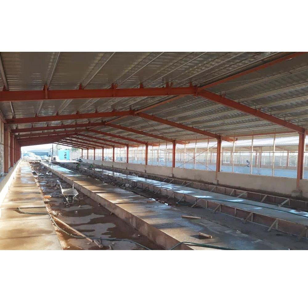 Prefabricated steel structure poultry farm shed chicken house building 2