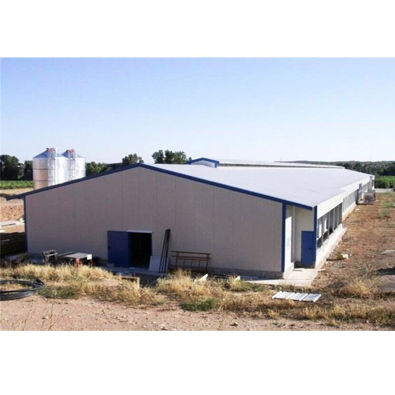Prefabricated steel structure poultry farm shed chicken house building 4