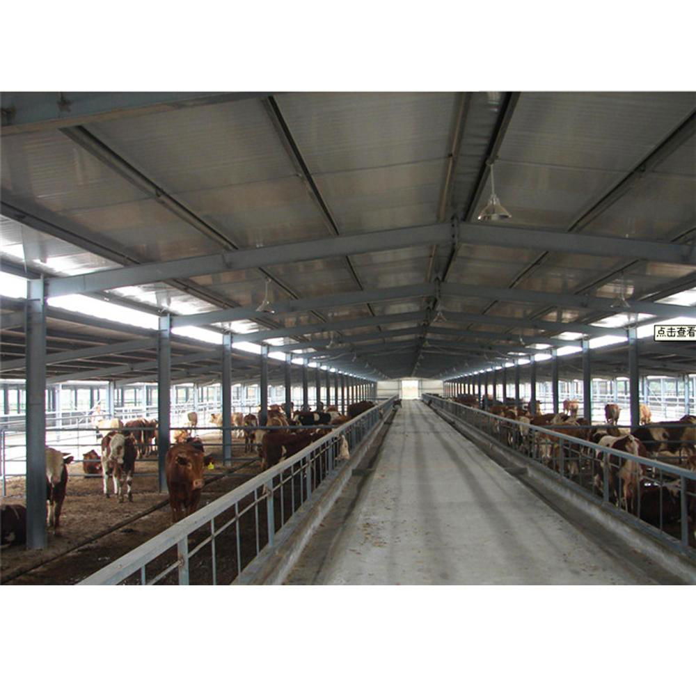 Modern cow shed structure prefabricated cattle farm building 5