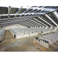 Horse Arena Construction Cost/Covered &