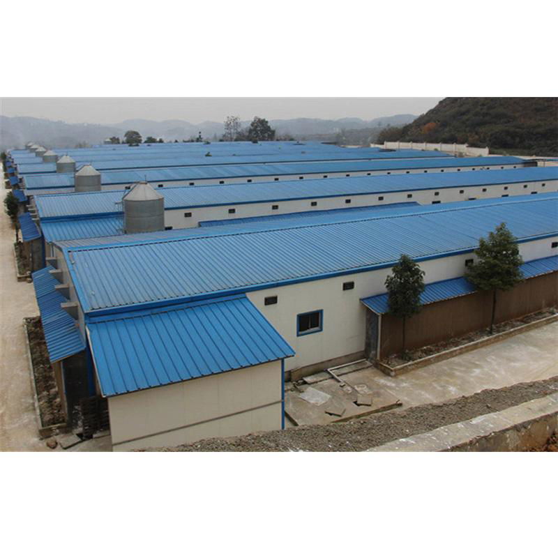 types of used metal construction farm structure poultry house for 10000 chickens