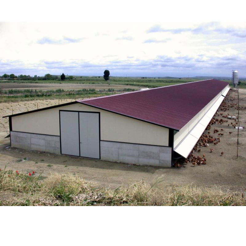 types of used metal construction farm structure poultry house for 10000 chickens 2