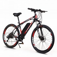 Electric Mountain Bike for Adults 500W Motor and 250W Battery E-bike ElectricBic