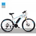 Electric Mountain Bike for Adults 500W Motor and 250W Battery E-bike ElectricBic 3