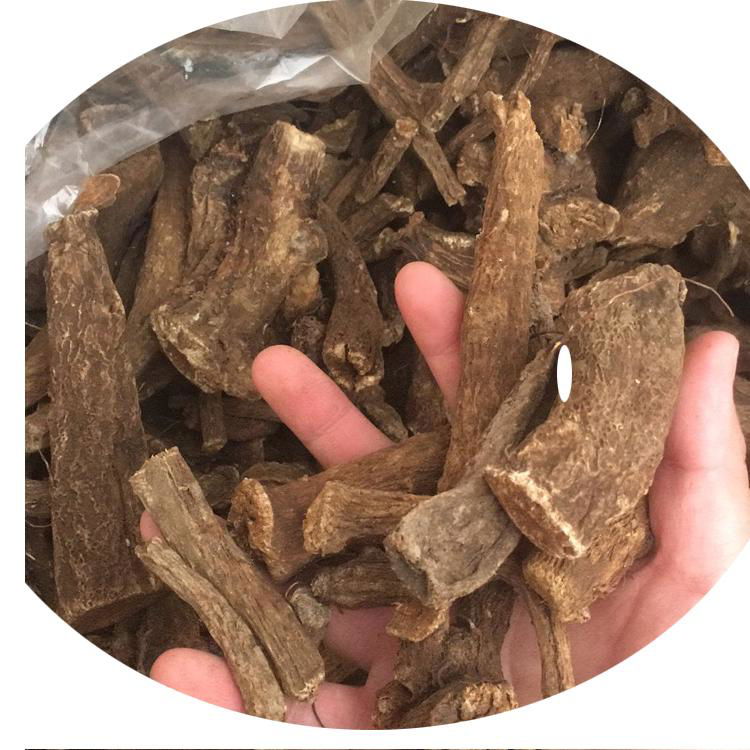 hot sale wild saussurea lappa costus whole root kyst muxiang Indian costus 2