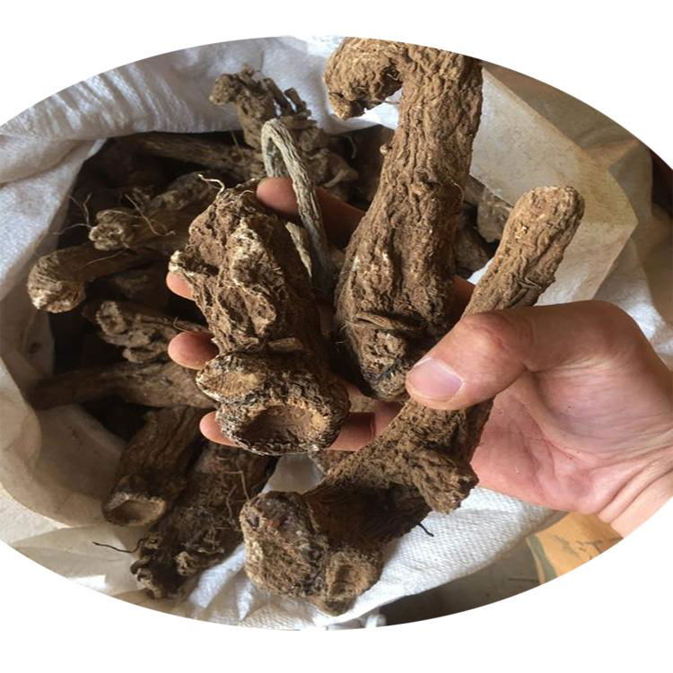 hot sale wild saussurea lappa costus whole root kyst muxiang Indian costus 3