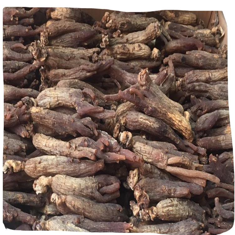 chinese changbaishan dried herbs  Panax red ginseng root 4