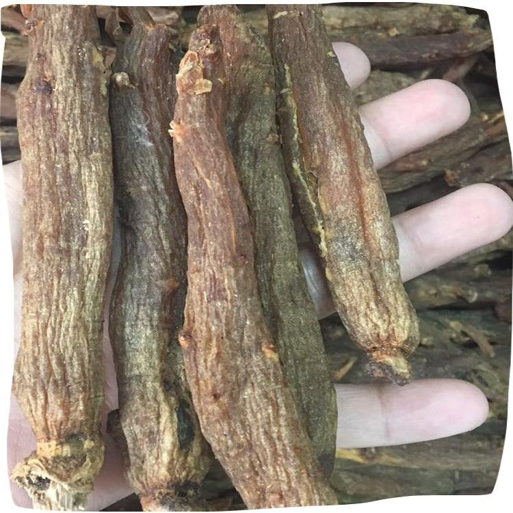 chinese changbaishan dried herbs  Panax red ginseng root 5