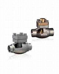 Cryogenic Check Valves