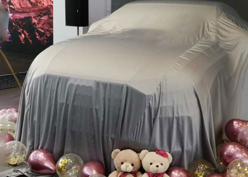 Silk Car Cover Indoor for Presentation 2