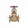 Marine Class 150 SDNR Globe Valve