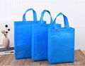 Eco-Friendly Customized Promotional Non Woven Laminated Non-Woven Tote Bag Non-W 2